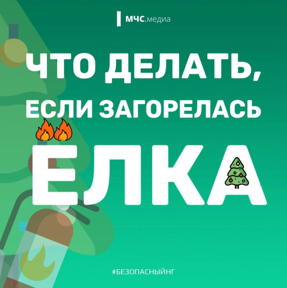 ЧТО ДЕЛАТЬ, ЕСЛИ ЗАГОРЕЛАСЬ ЕЛКА?.